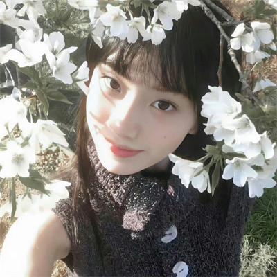 名侦探柯南.工藤新一的挑战书